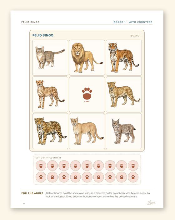 Felid bingo board with nine wild cats