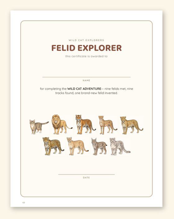 Felid Explorer certificate