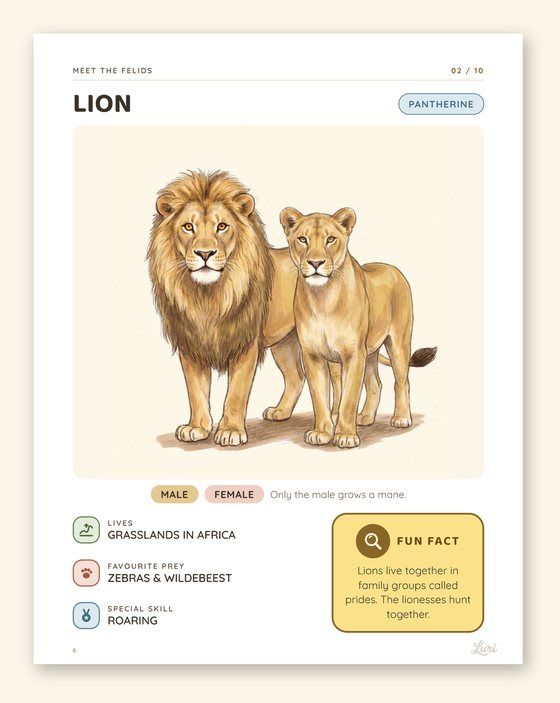 Lion fact card with habitat, prey and a fun fact