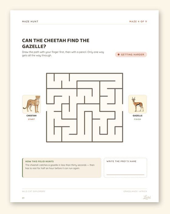 Maze where the cheetah has to reach the gazelle