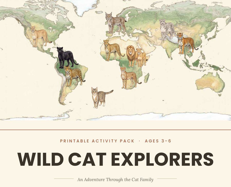 Wild Cat Explorers cover with a world map of wild cats