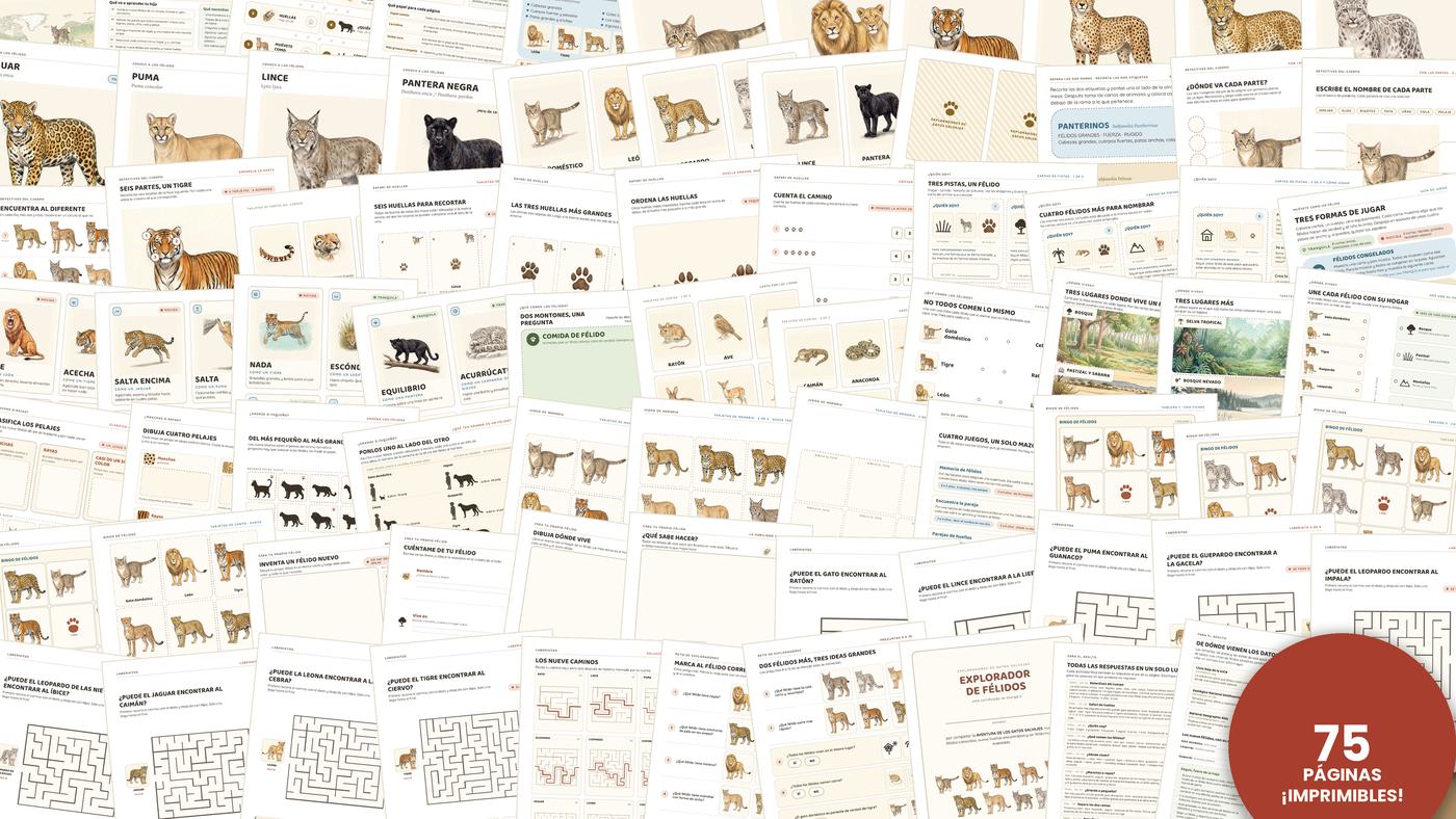 Las 75 páginas de Exploradores de Gatos Salvajes sobre una mesa