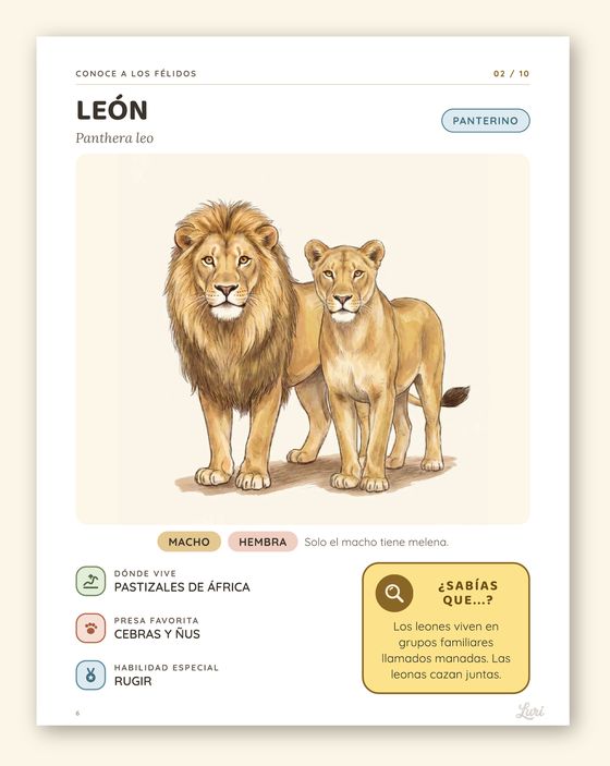 Ficha del león con hábitat, presas y un dato curioso