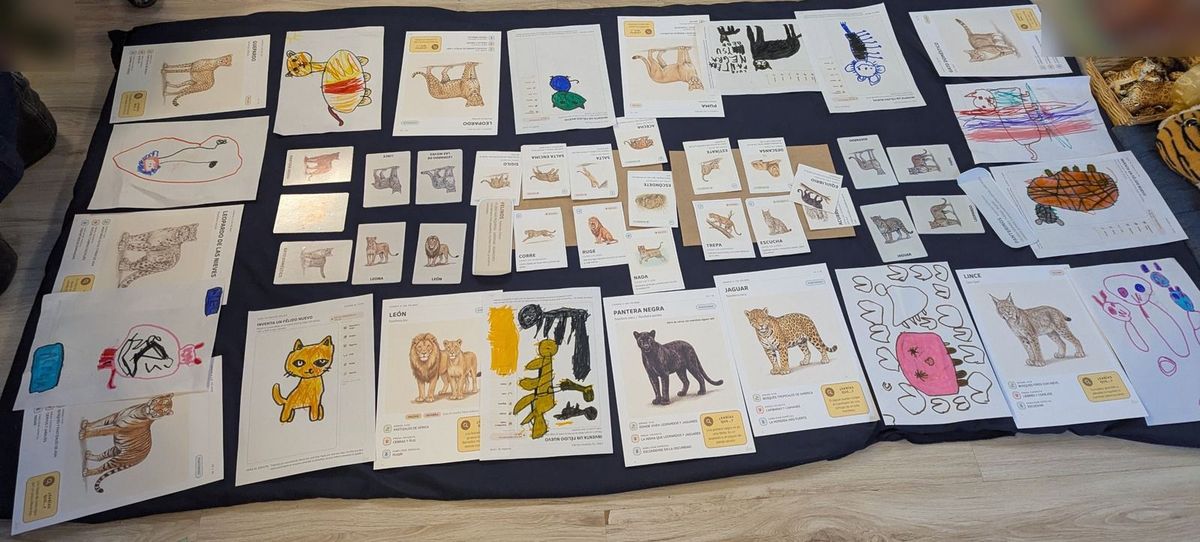 Wild Cat Explorers fact cards, game cards and children's drawings spread on a mat in a classroom